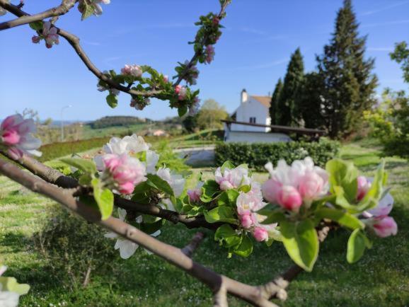 B&B Casa Soresina Offagna Zewnętrze zdjęcie