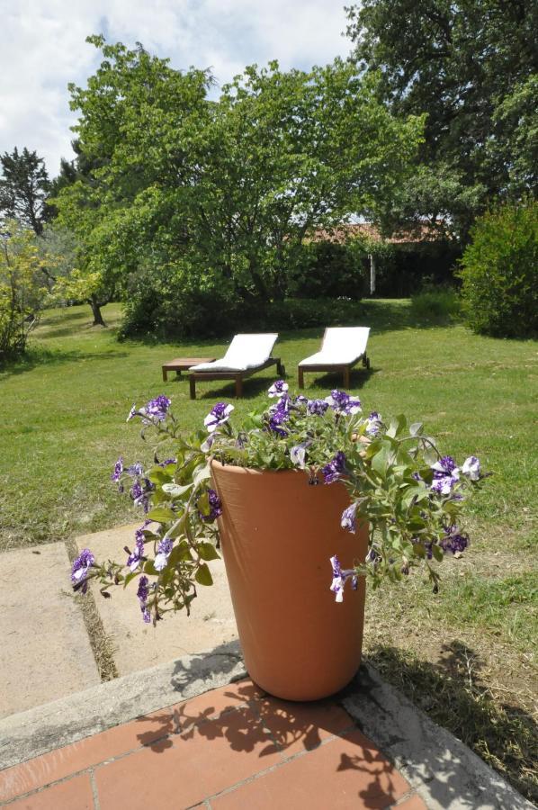 B&B Casa Soresina Offagna Zewnętrze zdjęcie